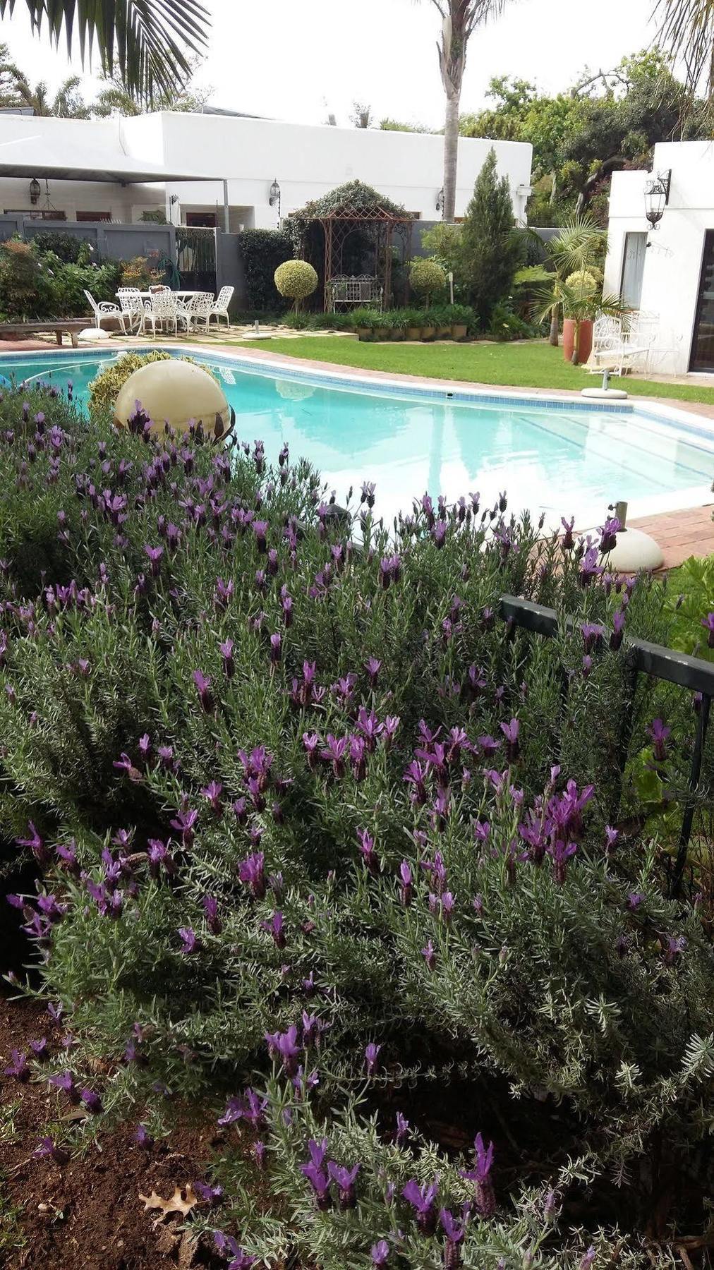 Cape Pillars Boutique Hotel Durbanville Bagian luar foto